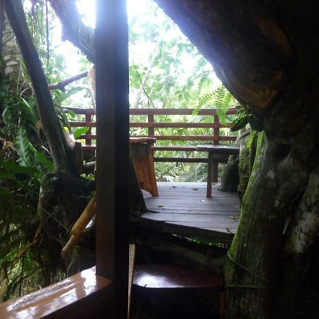 Topos Tree House Cahuita Dış mekan fotoğraf