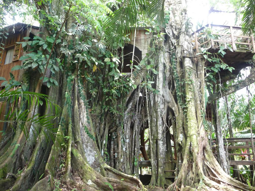 Topos Tree House Cahuita Dış mekan fotoğraf