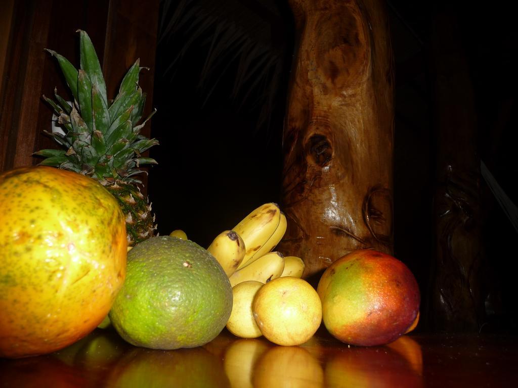 Topos Tree House Cahuita Dış mekan fotoğraf