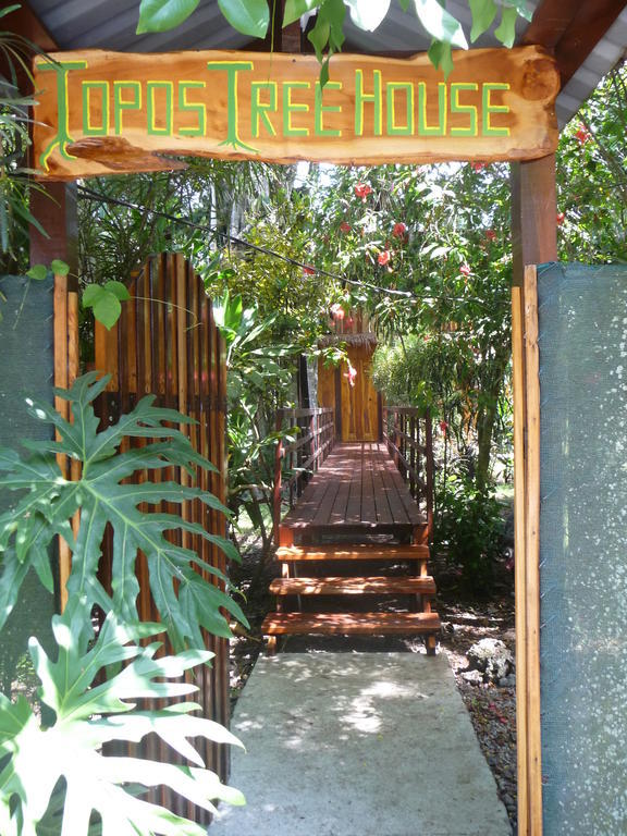 Topos Tree House Cahuita Oda fotoğraf