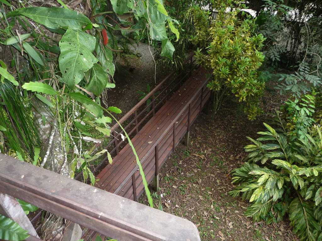 Topos Tree House Cahuita Dış mekan fotoğraf