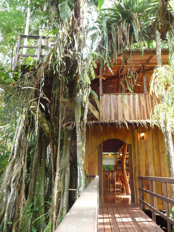 Topos Tree House Cahuita Oda fotoğraf
