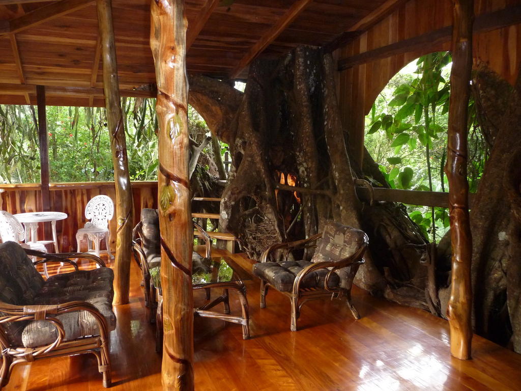 Topos Tree House Cahuita Dış mekan fotoğraf